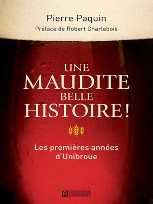 cover image of Une maudite belle histoire!